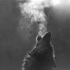 wolf howl free power entrepeneur